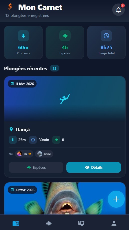 Divex - Écran d'accueil
