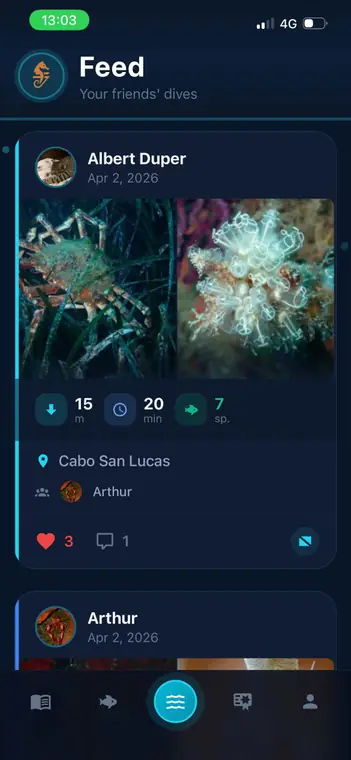 Écran « Feed » de Divex : fil des plongées des amis, avec photos, profondeur, durée, nombre d'espèces, lieu, mentions j'aime et commentaires.